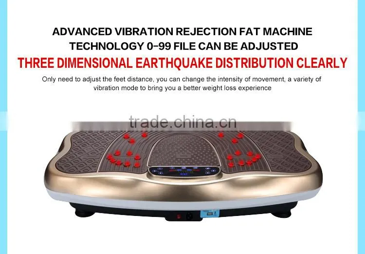 Whole body vibration machine crazy fit massage with music function and Magnetic therapy massage