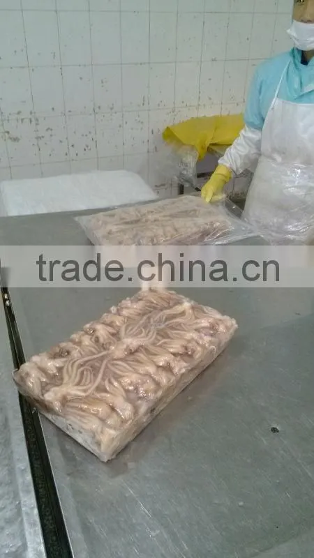 frozen seafood squid tentacle
