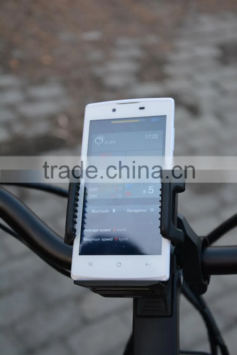 Dutch lady e bike with bafang bbs central motor 36V 250W and app fuction