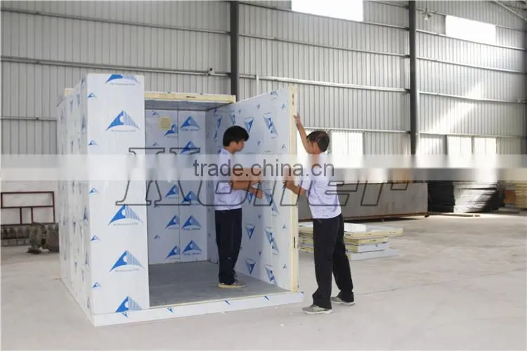 Koller cold storage room freezer for Meats/ fishes/ ice block/ fresh flowers