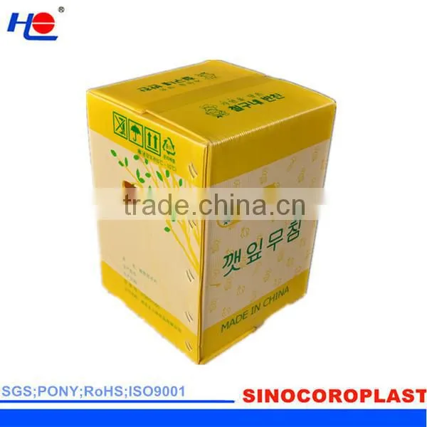 PP Corrugated Mailing Shipping Box