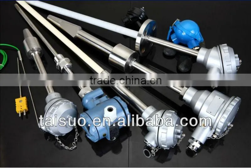 Temperature Sensor with head