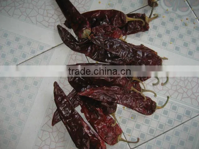 Sweet paprika Pods