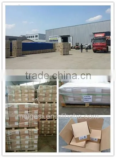 Flat head nylon screw nail with plug