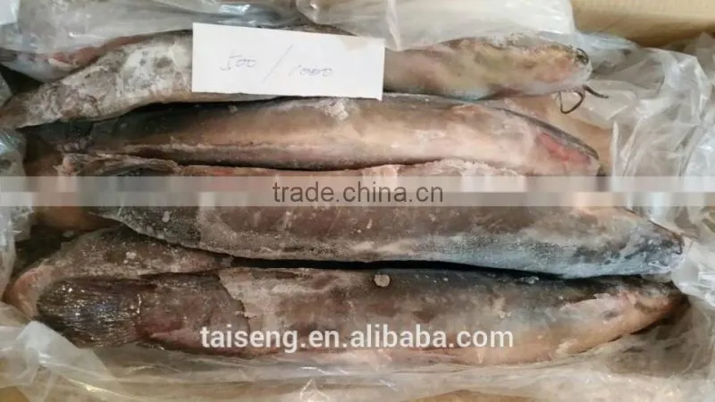Frozen Catfish Whole Round