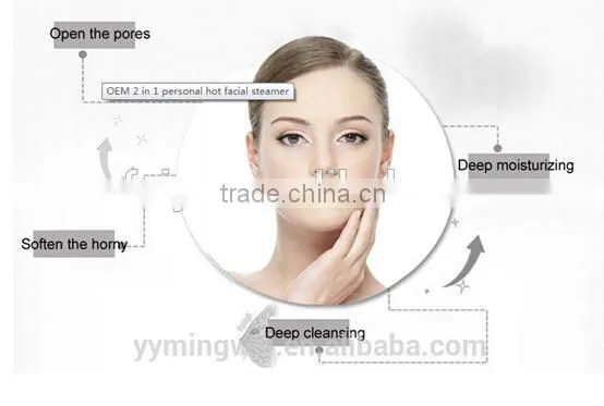 Portable Facial Steamer