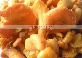 Frozen Grade A Chanterelles Mushrooms