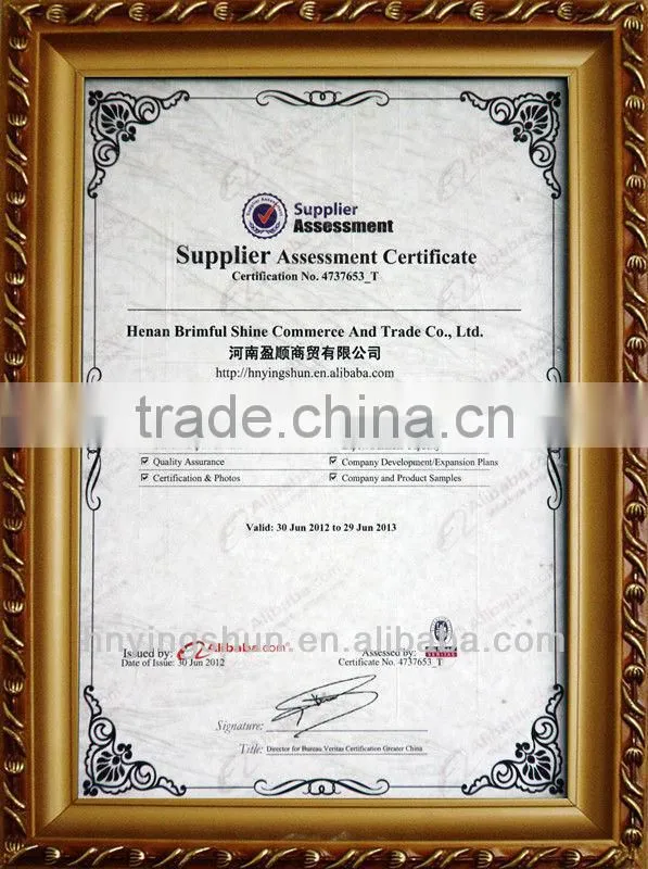 Hot sell fogging sprayer machine with CE, ISO,CCC