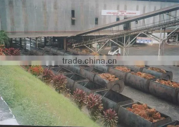 Small machinery for palm oil production