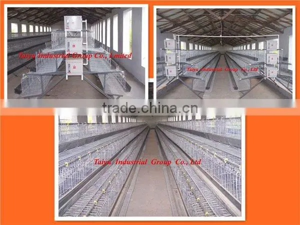 layer poultry cages for sales