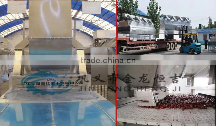 Microwave Tunnel Dryer for Fruit and Vegetable Dryer Machine