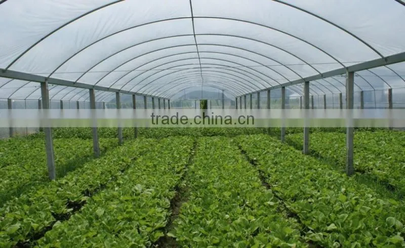 Independent ecological greenhouse anti-fog and dirt