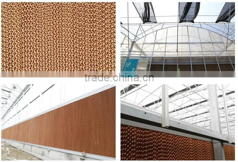 Pad and Fan Greenhouse Cooling Systems