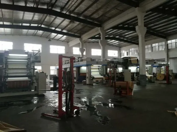 Huzhou Heli Decorating Paper Co.,ltd company overview - view 2
