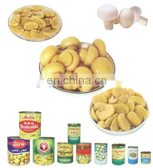 canned mushroom production line
