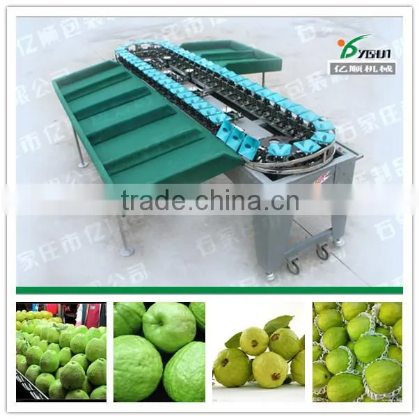 Fruit Sorting Machine for Pineapple, mango, grapefruit, dragon fruit