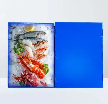 海鲜盒11