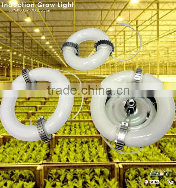 plant induction grow light and hydroponics growing light system