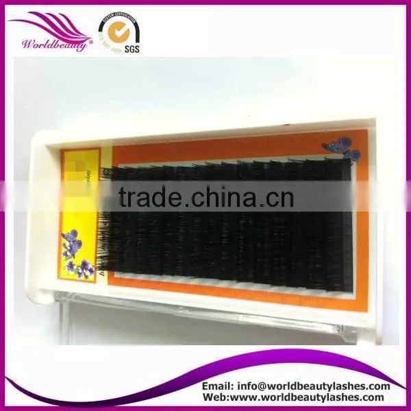 Top quality Wholesale price eyelash extension