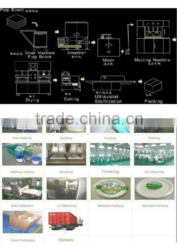 tableware Disposable biodegradable eco-friendly bagasse Plate