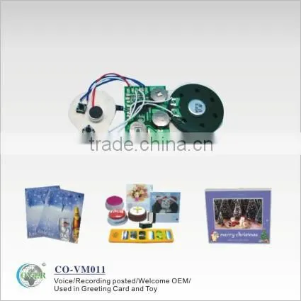 Chip Programmable sound modules for greeting cards and sound box