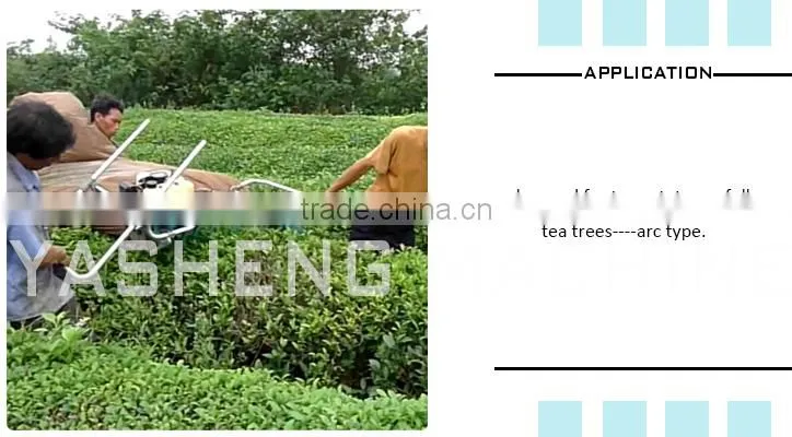 Hot Sale Gasoline Two-man Tea Plucker