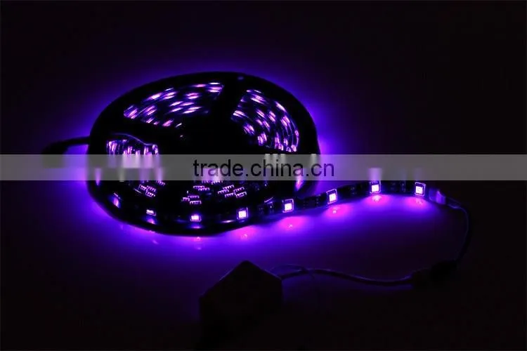 rgb self adhesive CE ROHS led strip 3528 300smd 4.8 watt per meter grow light kit 12v waterproof IP65 for decoration