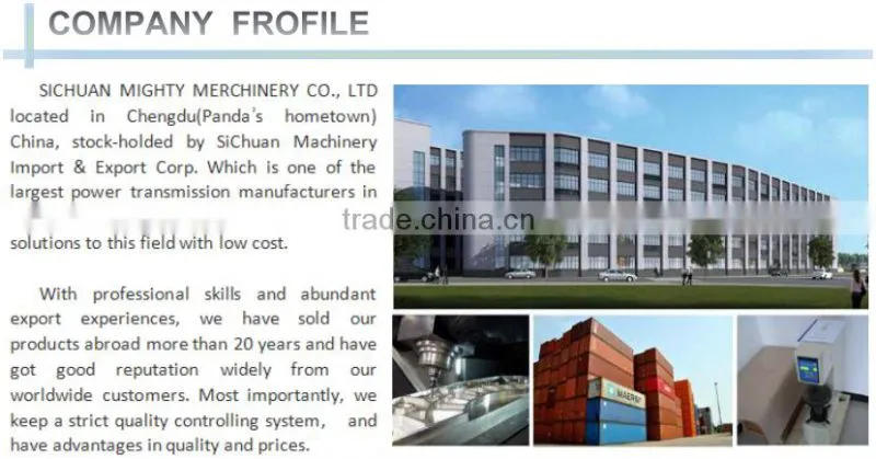 High Quality Gear Rack and Pinion
