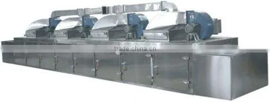 DW Vegetables Mesh Belt Dryer