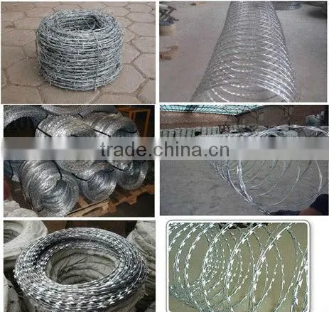 Razor Barbed Wire Mesh (factory)