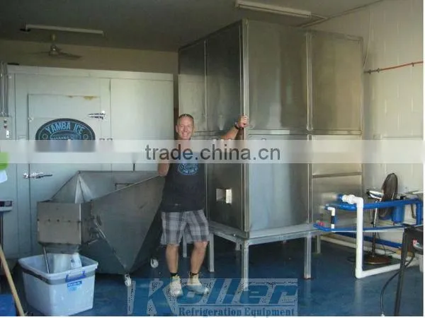 edible tube ice making machine with Economic Packing System