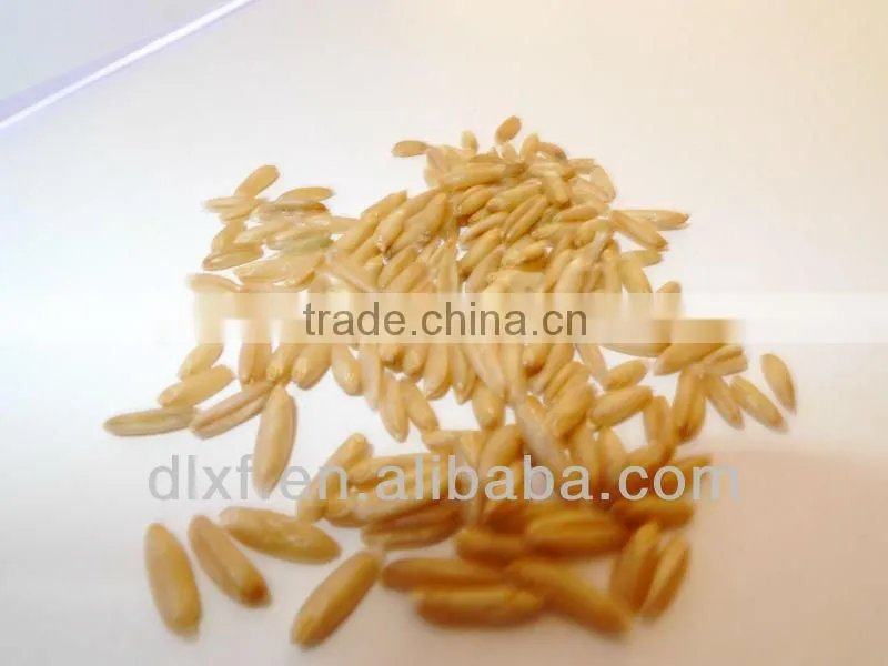 oat/peeless oat
