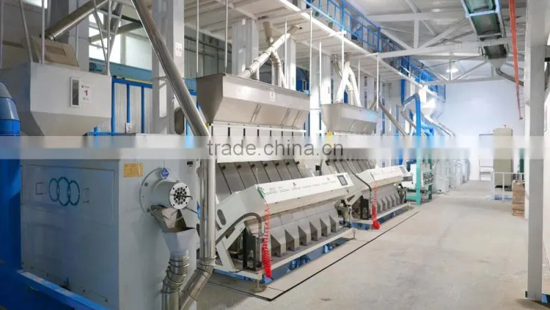 high quality Chinese hulled oats, naked oats, flat oat flakes, rolled oats price