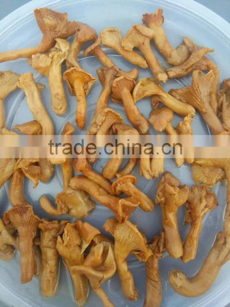 Class B Broken Mushroom Cantharellus Cibarius in Brine