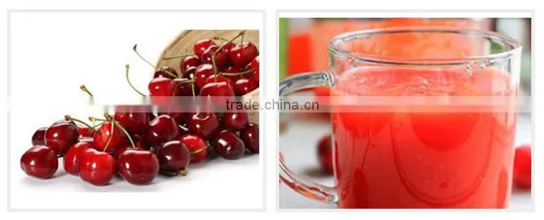 Organic Acerola Cherry Extract Powder
