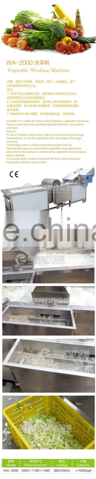 WA-2000 Full Automatic Industrial Ozone Bubble Vegetable And Fruit Cleaner Washing Machine