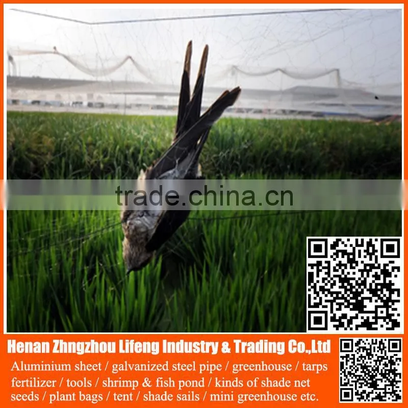New arrival orchard grape HDPE anti bird netting , pe plastic knotted mesh bird netting