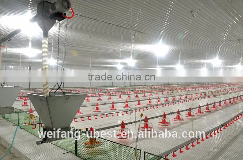 automatic rearing breeders chicken farm equipment