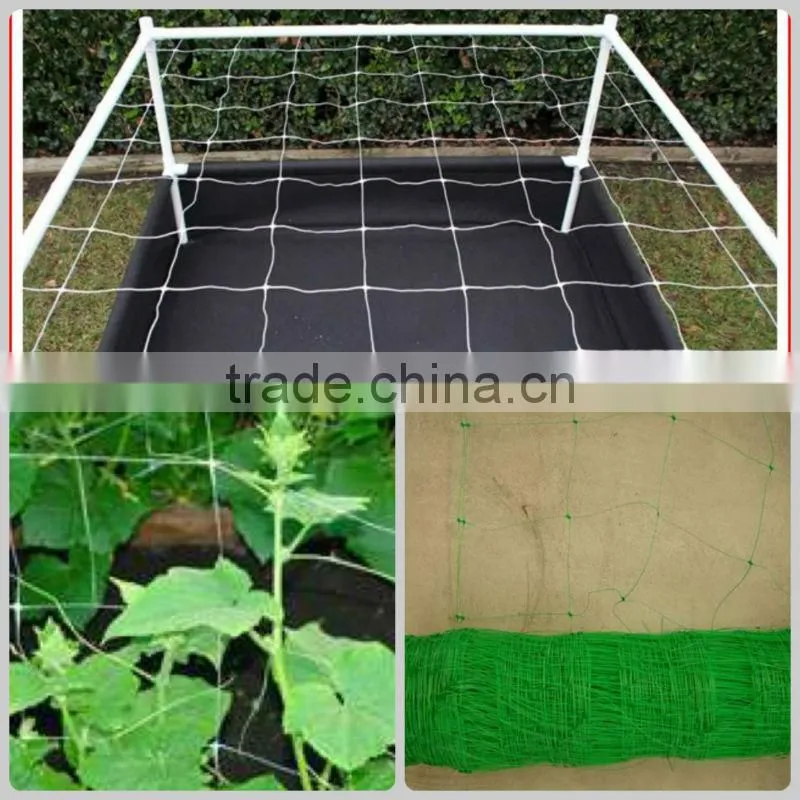 Plant support netting/Pea and bean climbing mesh