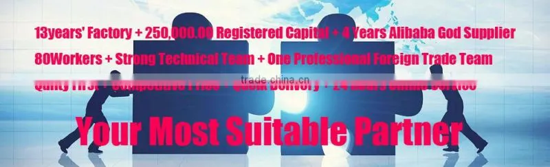 High Precision HSS Special Punch with 45 Degree Cutting edge for stamping Mold