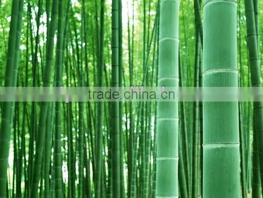Original bamboo sawn machine