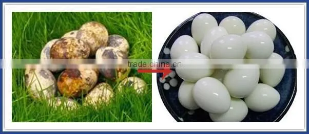 2% discount egg peeling machine for boiled quail eggs