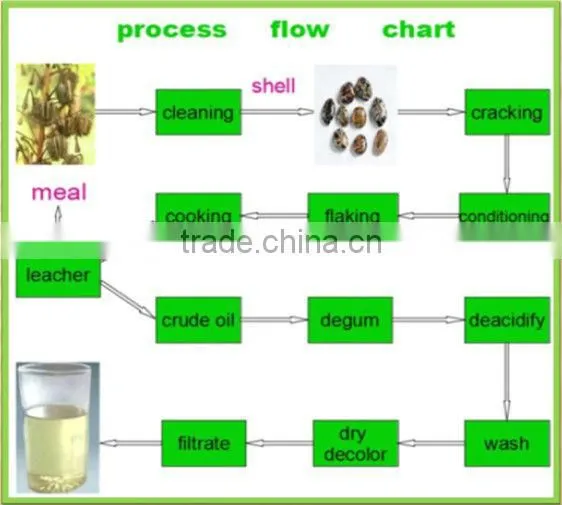 20-200 Ton China Factory price automatic castor oil manufacturing machine with CE ISO BV Approved