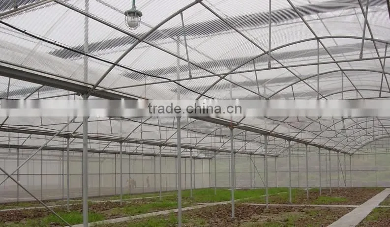 Sunshine ecological in greenhouse