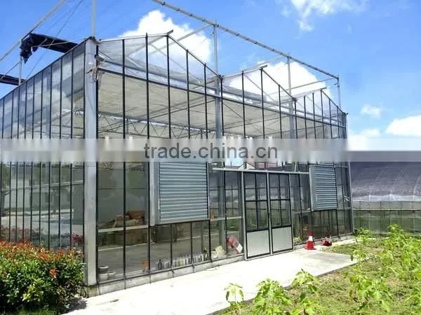 Artistic glass sunlight greenhouse