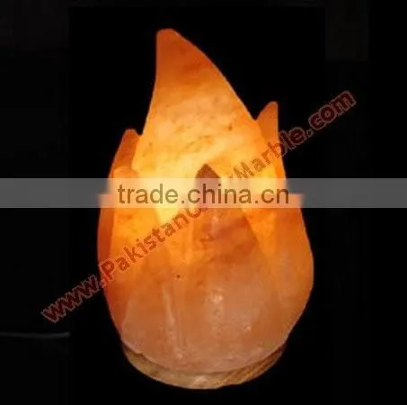 CRAFTED CRYSTAL SALT LAMPS