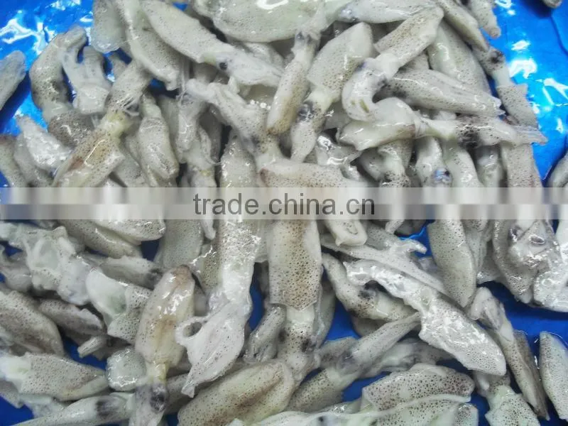 frozen baby squid 3-5cm
