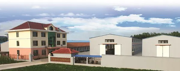 Qingdao United Asia Industry Co.,ltd company overview - view 1