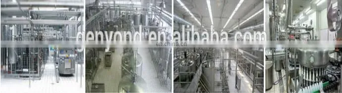 Small scale milk process plant/frozen yogurt making machine