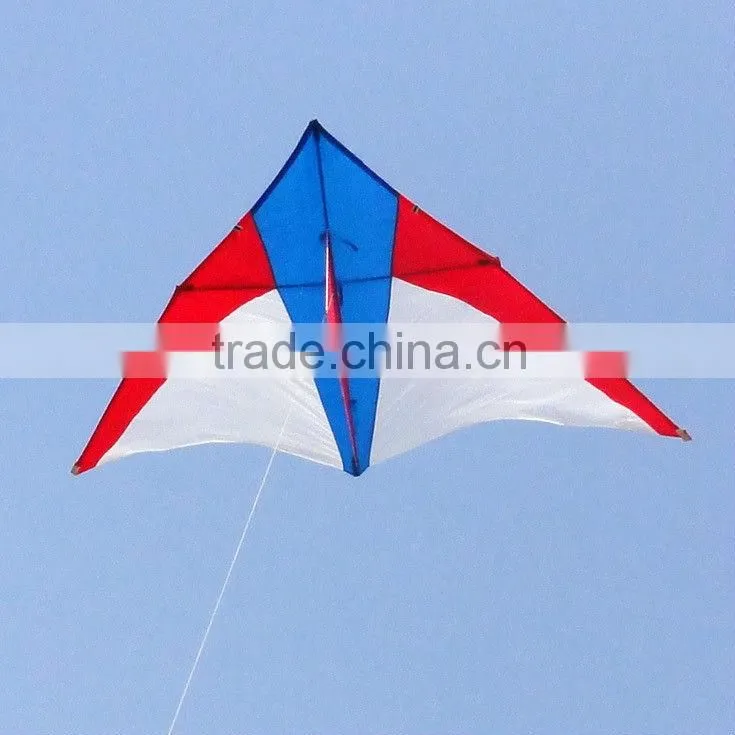 3m delta kite